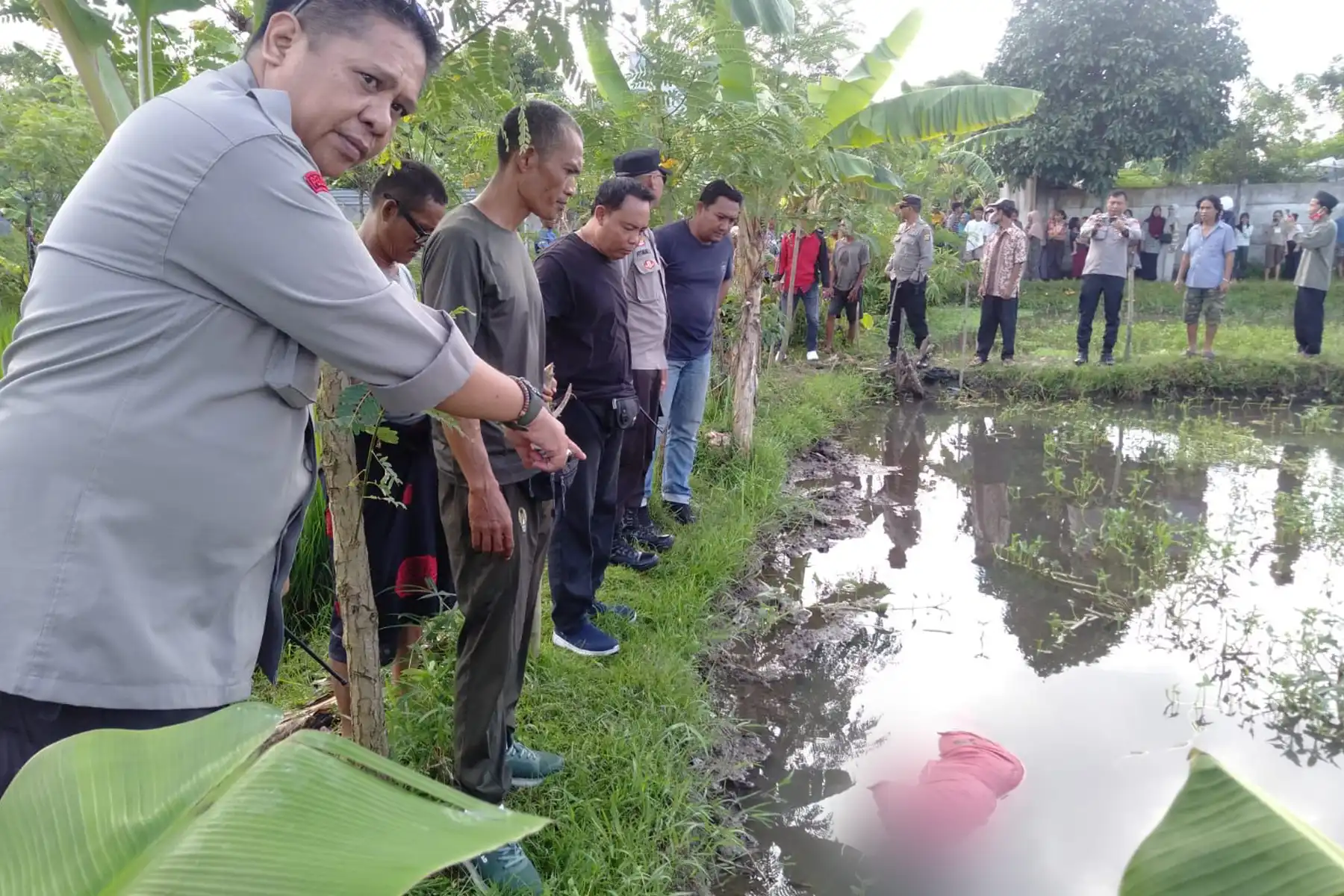 Perempuan 75 Tahun Ditemukan Tewas di Kolam Kangkung
