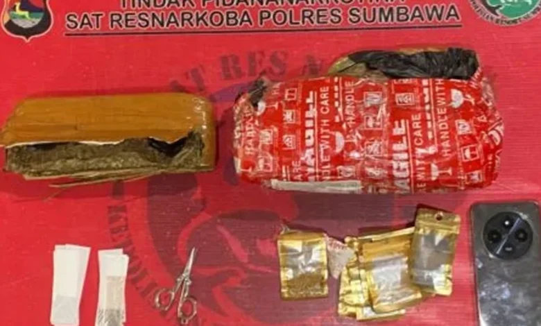 Polisi Amankan Mahasiswa Diduga Pengguna dan Pengedar Ganja di Sumbawa