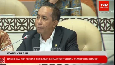 Mori Hanafi Pertanyakan Harga Tiket Pesawat Mahal
