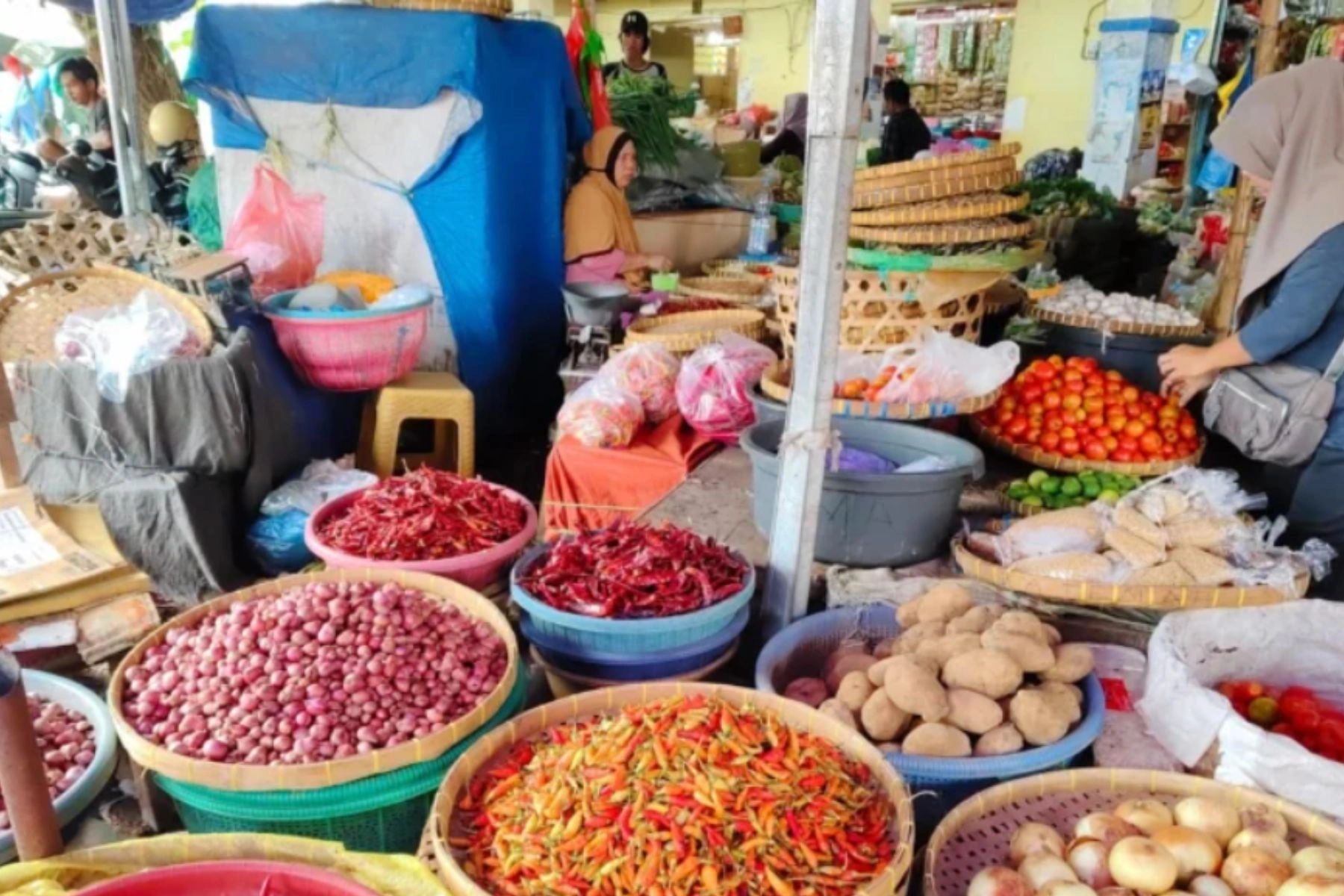Pedagang Cabai di Kota Mataram Harga Meroket Makin Pedas Inflasi NTB Maret 2025