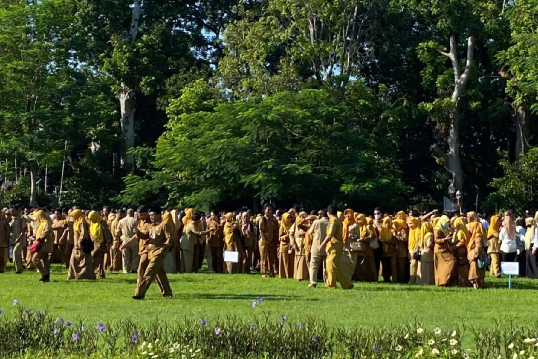 ASN Pemprov NTB Pejabat Terancam Kehilangan Jabatan Imbas Perampingan OPD