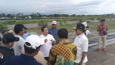 Asosiasi Dorong Cold Storage Dibangun Optimalkan Ekspor Udang