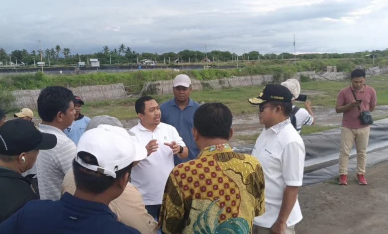 Asosiasi Dorong Cold Storage Dibangun Optimalkan Ekspor Udang
