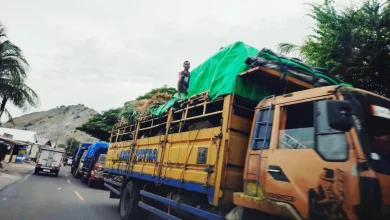 Gubernur NTB Lalu Iqbal Telepon Gubernur Bali soal Izin Lalu Lintas Urai Antrean Truk Sapi Bima ke Jawa di Pelabuhan Gili Mas