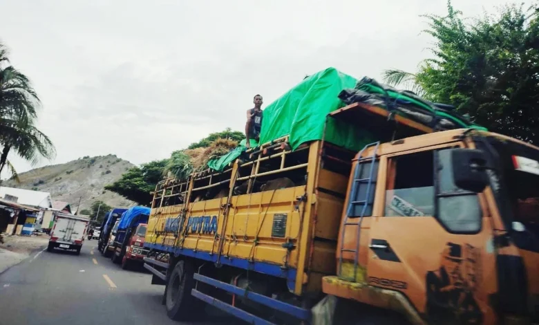 Gubernur NTB Lalu Iqbal Telepon Gubernur Bali soal Izin Lalu Lintas Urai Antrean Truk Sapi Bima ke Jawa di Pelabuhan Gili Mas