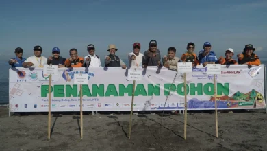 Penanaman Pohon DMC Dompet Dhuafa HKB 2025 di Lombok