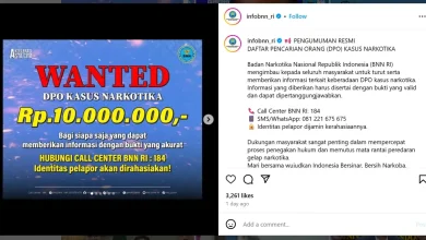 Pengumuman DPO Kasus Narkotika BNN RI
