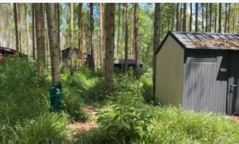 Glamping IKN Terbengkalai