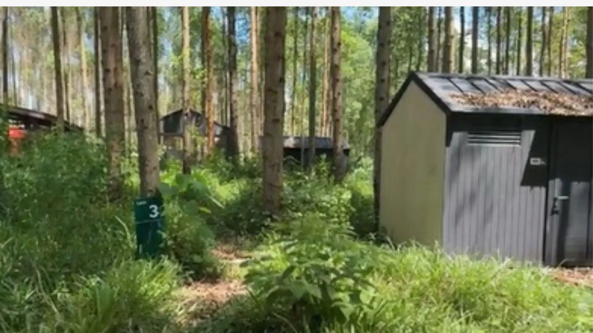 Glamping IKN Terbengkalai