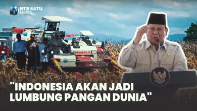 Presiden Prabowo Lumbung Pangan