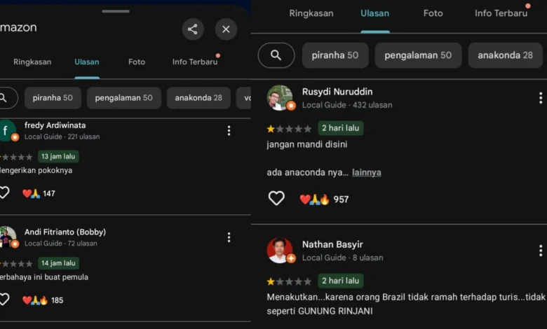 Komentar Netizen Indonesia di Ulasan Sungai Amazon Imbas Tragedi Juliana