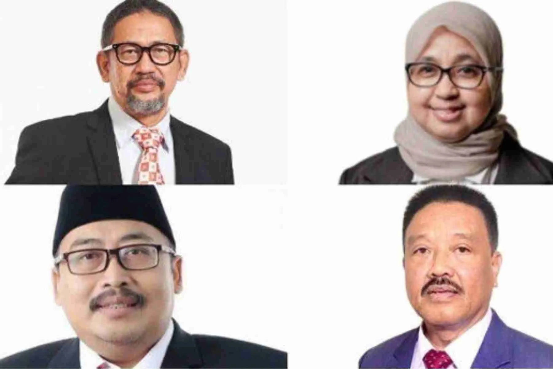 Komisaris PT GAG Nikel Perusahaan Tambang di Raja Ampat yang Viral