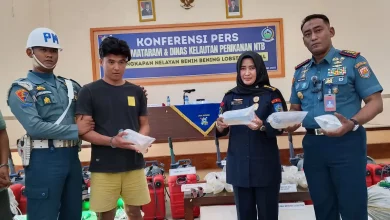 Lanal Mataram Amankan Benih Lobster Ilegal Rp5,19 Miliar dari Lunyuk Sumbawa