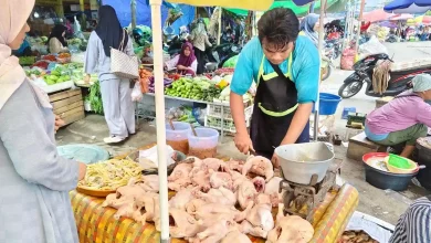 Harga Bapok Pedagang Ayam di Pasar Kebon Roek Ampenan Kota Mataram