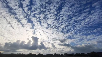 Pemandangan Awan Alto Cumulus di Langit Labuapi Lombok Barat