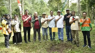 Penanaman Pohon Bank NTB Syariah