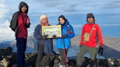 Ratusan Pendaki Terdampak Akibat Jalur Puncak Rinjani Ditutup