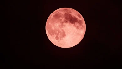 Fenomena Strawberry Moon