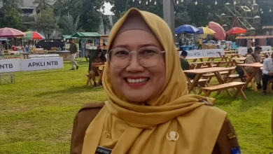 Plt Kepala DPMPTSP Provinsi NTB Eva Dewiyani Proyek Marina Bay City di Lombok