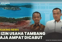 Pemerintah Cabut Izin Tambang