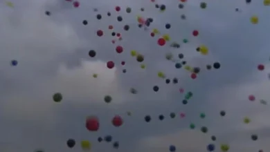 Insiden Pelepasan Balon saat Pelantikan PPPK oleh Bupati Batanghari