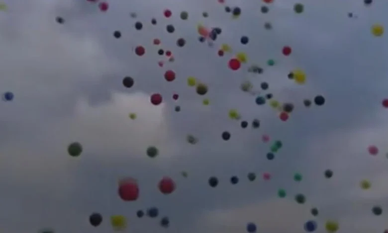Insiden Pelepasan Balon saat Pelantikan PPPK oleh Bupati Batanghari