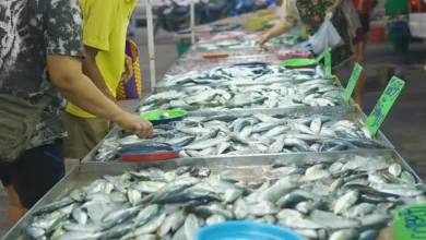 Pembangunan Supermarket Ikan di Kota Mataram