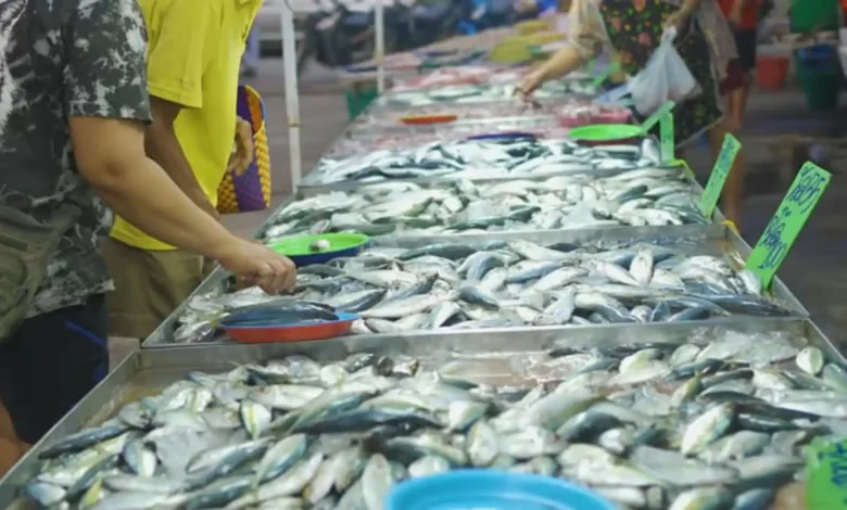 Pembangunan Supermarket Ikan di Kota Mataram