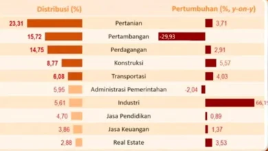 Data pertumbuhan sektor-sektor penyumbang ekonomi PDRB NTB
