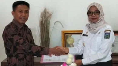 Job Fair 2025 Ummat bersama Disnakertrans NTB