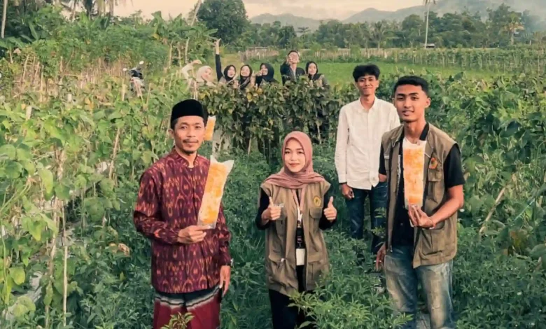 KKN PMD Unram Dasan Geres 2025 Yellow Sticky Trap