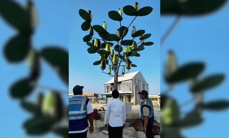 Viral Pohon "Ajaib" Hybrid di Tol Kraksaan – Paiton Jawa Timur