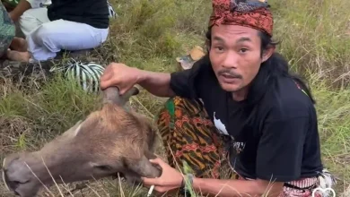 ritual Ngasuh Gunung Rinjani