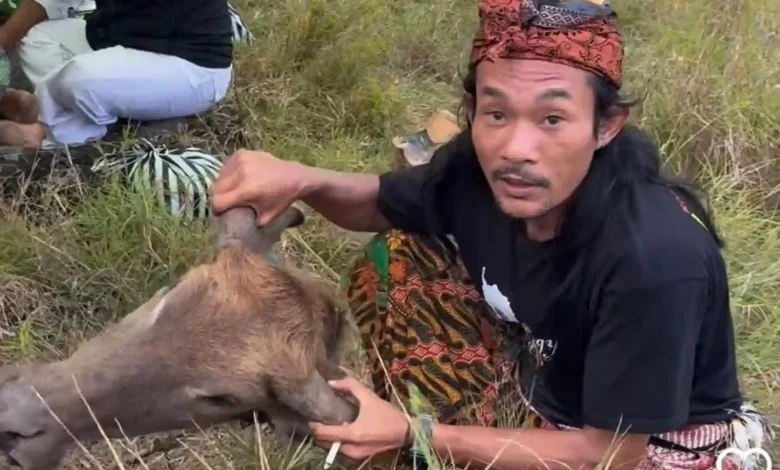 ritual Ngasuh Gunung Rinjani