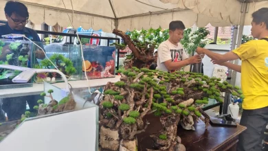 Pameran Aquascape di Pendopo Wali Kota Mataram