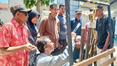 Program Pertanian Organik AMMAN