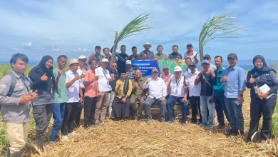 Swasebada Garam Nasional PT SMS