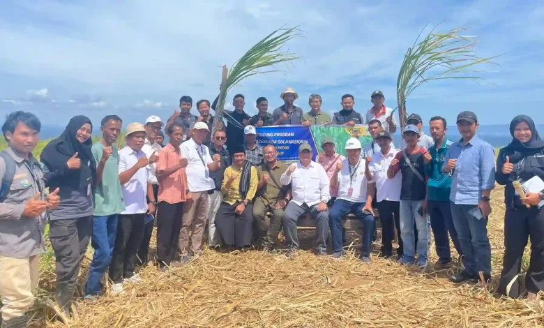 Swasebada Garam Nasional PT SMS