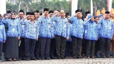 Pendaftaran CPNS 2026 Ramai Jadi Perbincangan