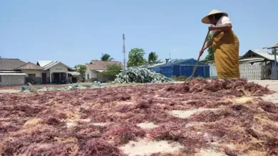 Koperasi Kampung Nelayan di Lombok Timur Pekerjaan Warga Pesisir
