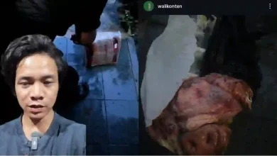 Kreator Konten di Bogor Dapat Kiriman Paket Kepala Babi
