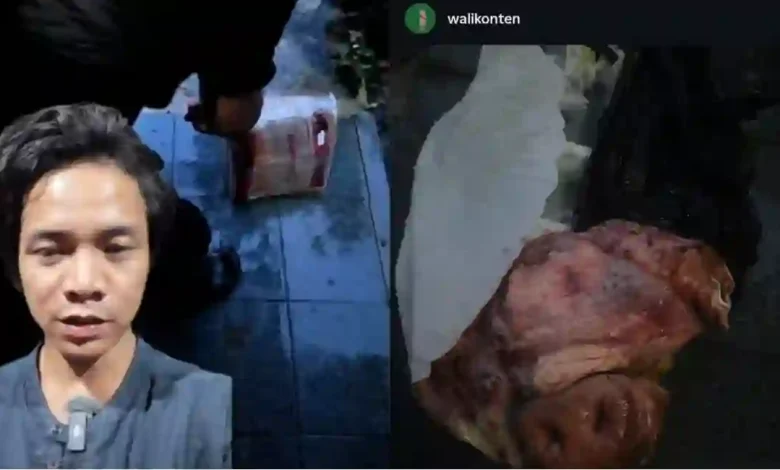 Kreator Konten di Bogor Dapat Kiriman Paket Kepala Babi