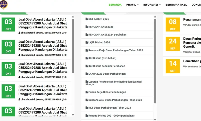 Iklan Aborsi di Website Dishub Sumbawa
