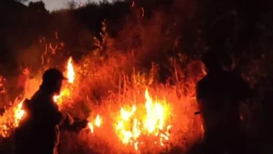Kebakaran di Kawasan Gunung Rinjani