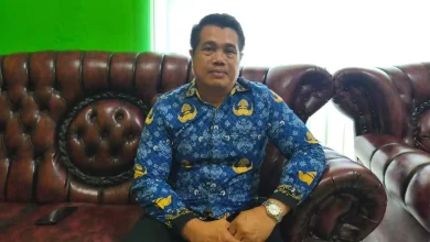 Kepala DLH Kabupaten Sumbawa Pipin Shakti Bitongo Program Penanaman Sengon Laut