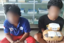 Pria di Sumbawa Ditangkap Usai Ambil Paket Ganja