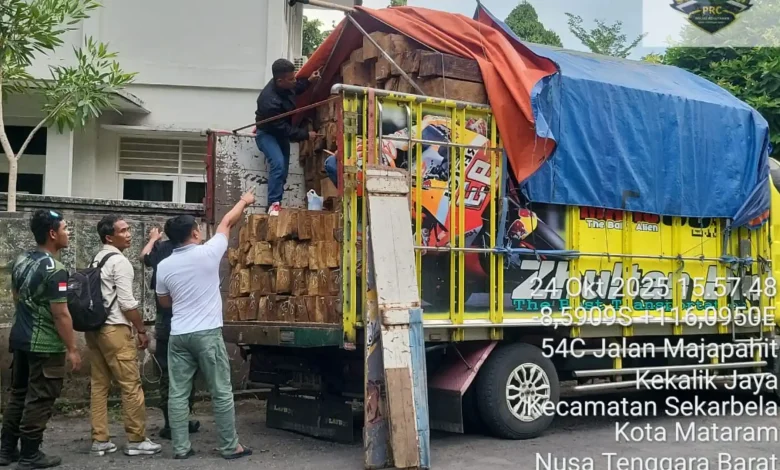 DLHK NTB Amankan 4 Truk Pengangkut Kayu Ilegal dari Sumbawa