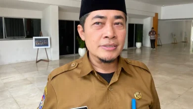 Kepala DPMPTSP Provinsi NTB Irnadi Kusuma Proyek Kereta Gantung Rinjani