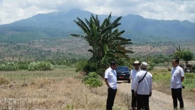 Bupati Lotim Haerul Warisin Tinjau Lahan Sekolah Garuda di Pringgabaya