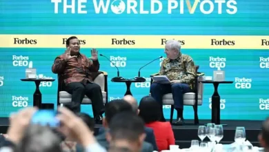 Prabowo Ungkap Bongkar 1.000 Tambang dan 5 Juta Hektare Lahan Sawit Ilegal
